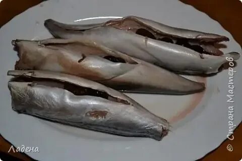Можно замораживать соленую скумбрию