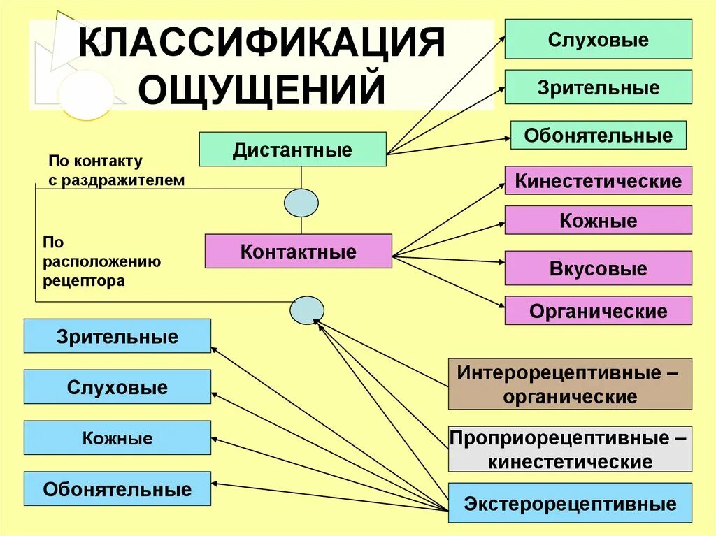 Привести пример ощущения. Классификация типов ощущений. Классификация ощущений в психологии. Классификация слуховых ощущений. Классификация ощущений в психологии таблица.