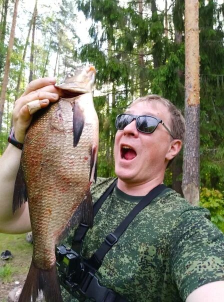 Лещ 53 великий новгород. Здоровый лещ. Лещ свежемороженный. Лещ калининградский. Здоровый лещ.