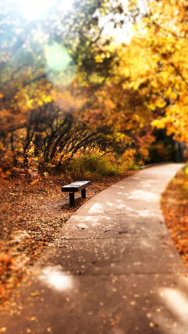 Autumn live