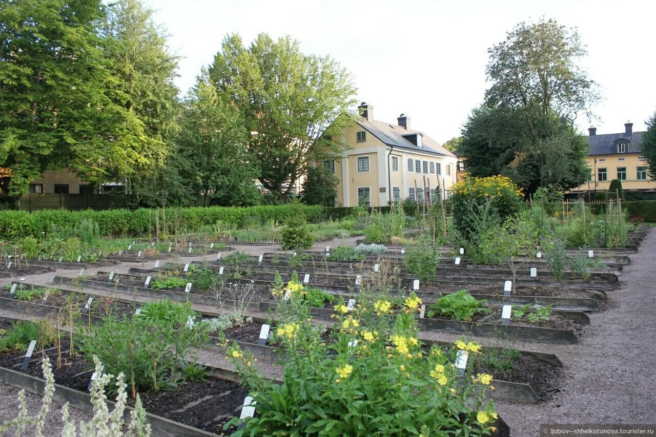 Ботаника участки. Ботанический сад Уппсальского университета. Ботанический сад в Уппсале Швеция.