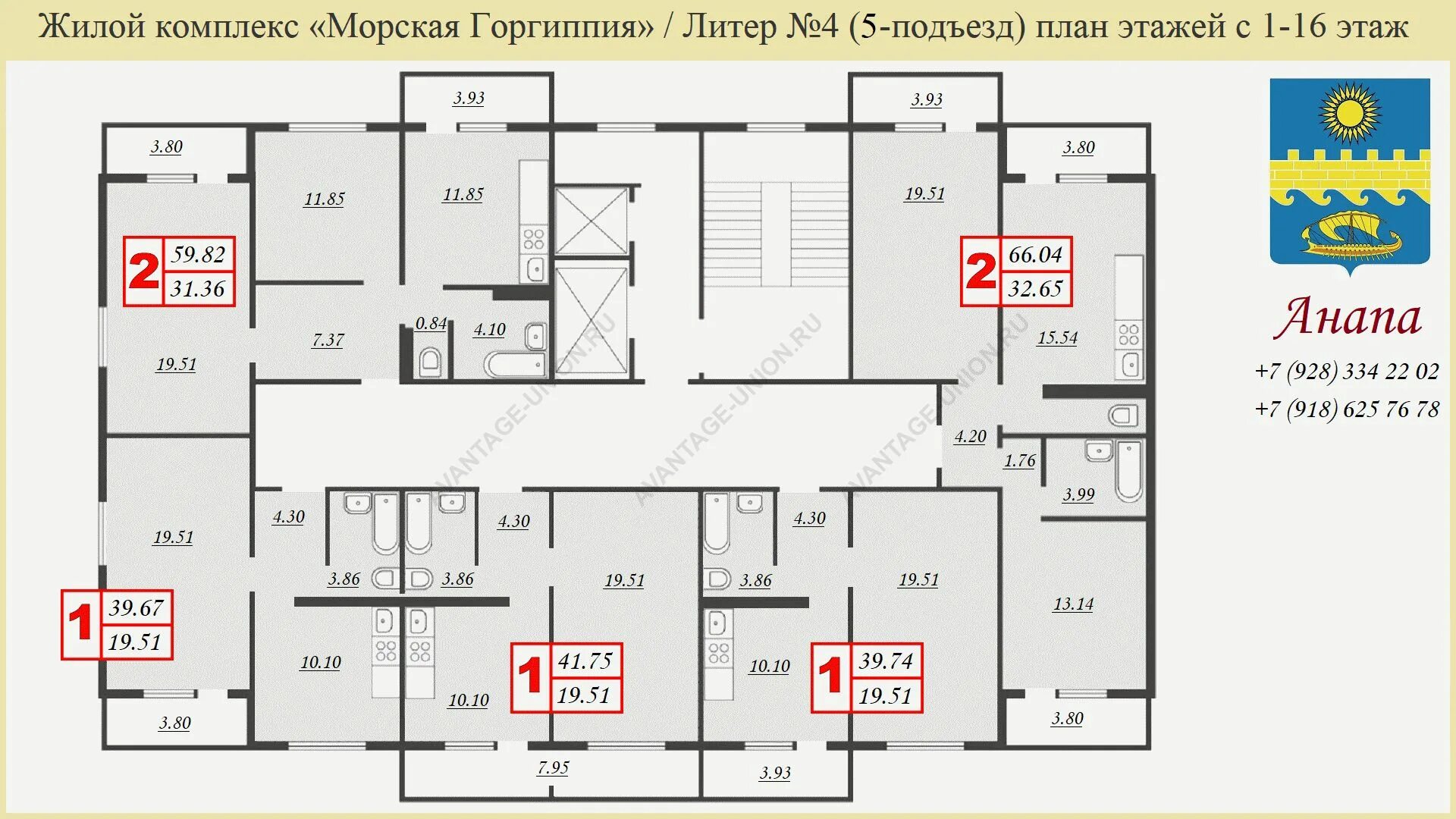 Горгиппия морская купить