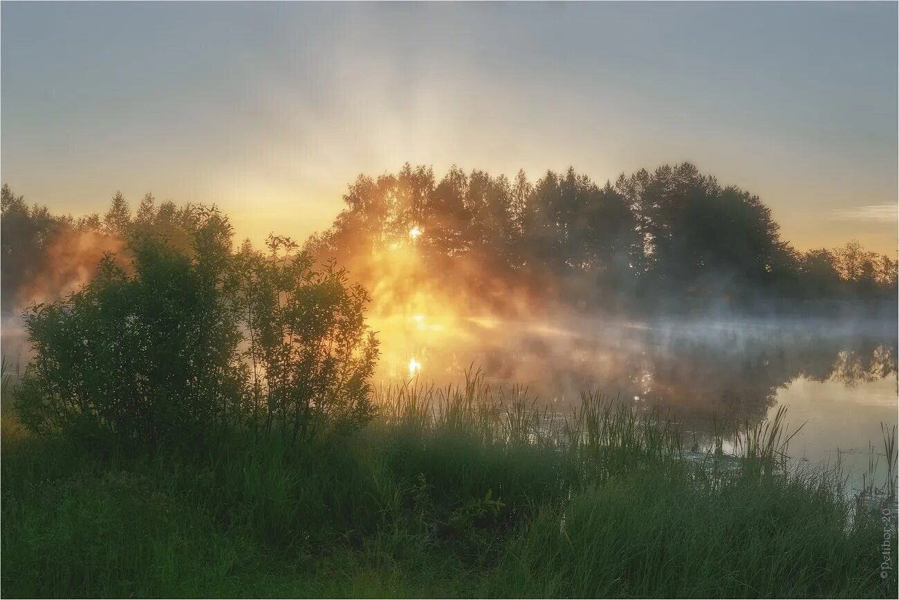 Утро четвертый. Рассветный туман Нерехта. Рассвет в Мещере. Летний рассвет. Утренний рассвет.