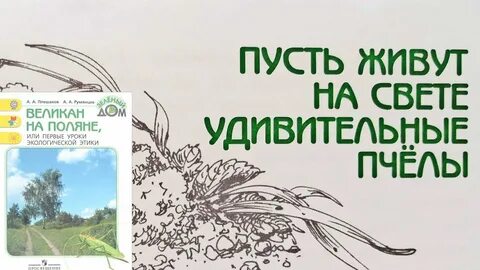 История пусть