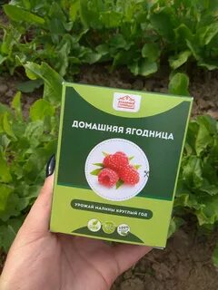 Ягодница