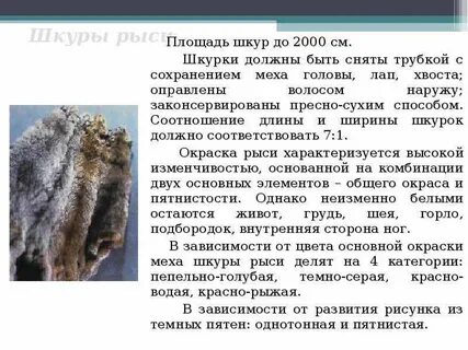 Текст пл