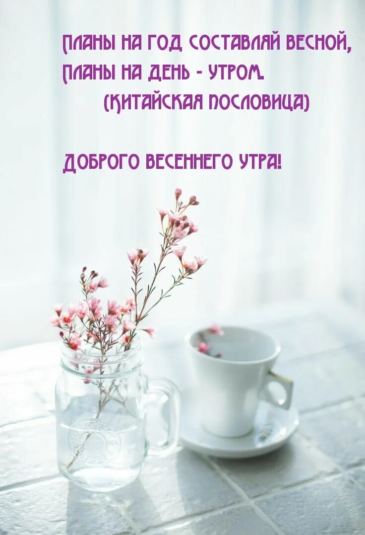 Добрые пожелания. Пожелание доброго весеннего утра. Доброе Весеннее утро. Доброе Весеннее утро цитаты. Картинки со смыслом хорошего дня весенние