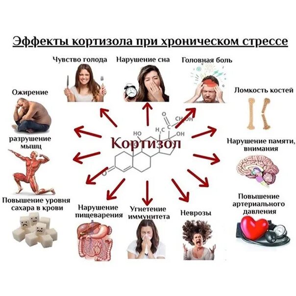 Гормоны стресса сдать. Гормоны стресса. стресс кортизол. кортизол гормон. хроническое повышение кортизола.