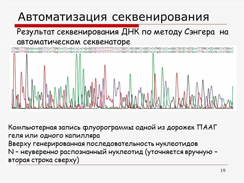 Секвенирование нуклеотидов. Результат секвенирования. Секвенирование метод Сэнгера. Секвенирование ДНК метод. Методика автоматического секвенирования.