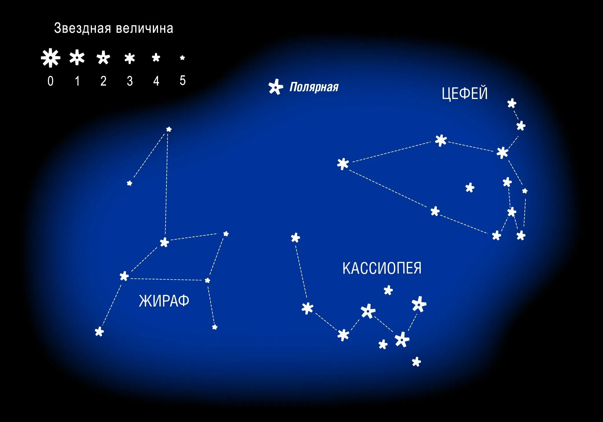 Какая звезда на юге. Волопас Созвездие звезды. Созвездия (Близнецы, рыбы, Северная корона, большой пёс). Созвездие Цефей схема звезд. Волопас Созвездие схема.