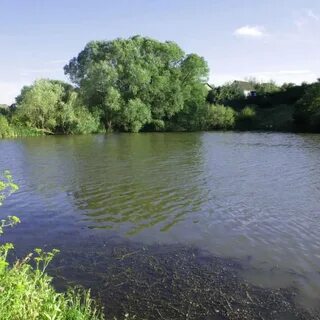 Погода в круглом воронежская область