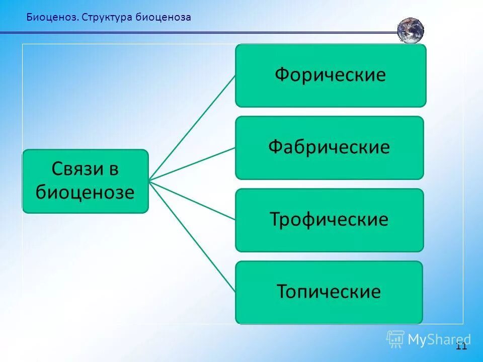 Наибольшее разнообразие наблюдается в