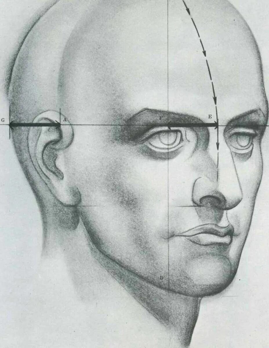 Три затылка. Портрет в ракурсе. Наброски мужской головы. Эскиз головы человека. Рисование головы человека.