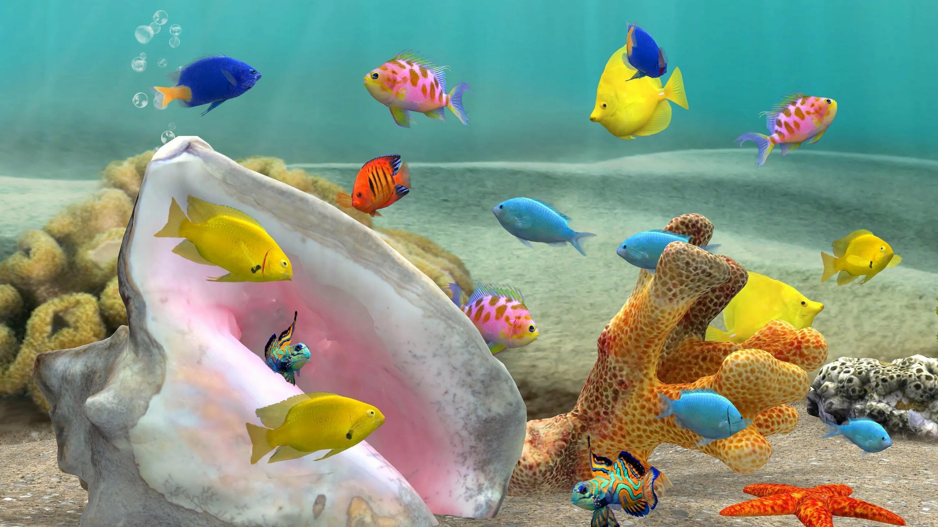 Бесплатные живые обои рыбки. Живой аквариум. Живые рыбки. Рыбки для аквариума. Аквариум 3д.