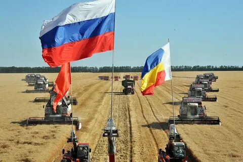 Российский ростовская область