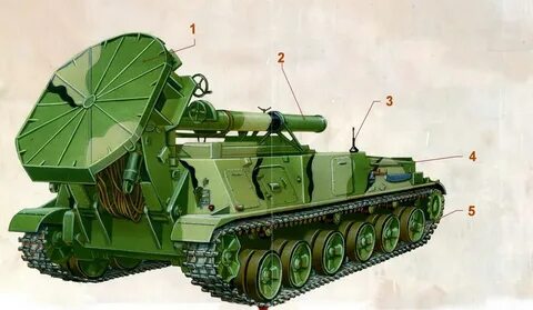 2с4 тюльпан