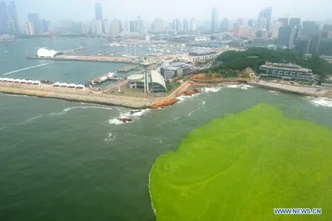 Отдых в китае на желтом море 2024