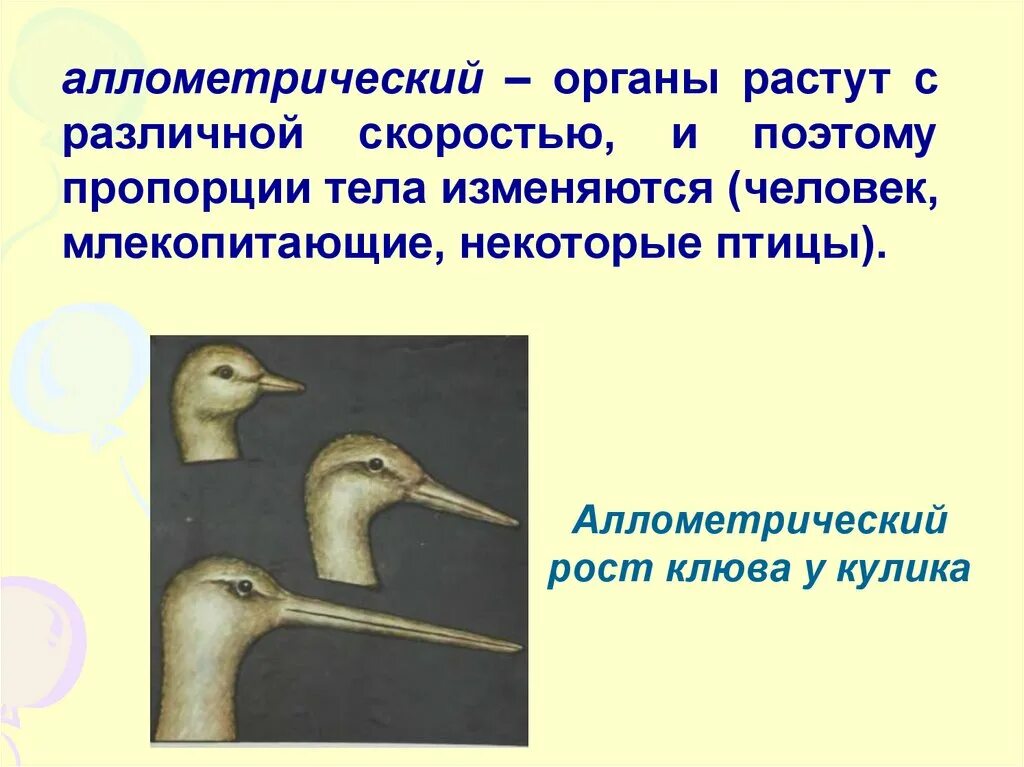Метаморфозы листьев. За сколько обновляется организм человека. Какие органы растут всю жизнь. Какие органы растут всю жизнь. Период обновления клеток в организме человека.