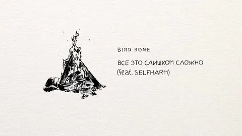 Bird bone