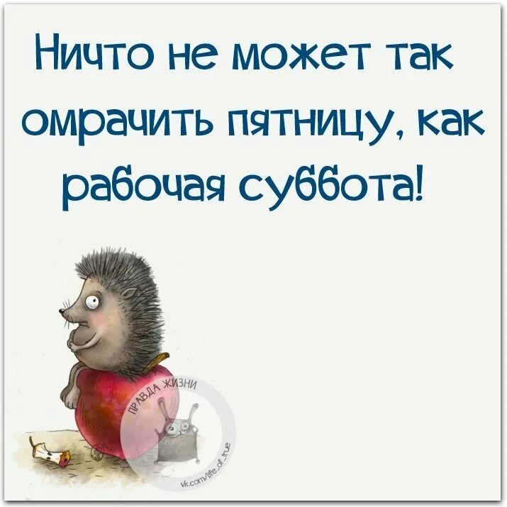 Смешные картинки про выходные