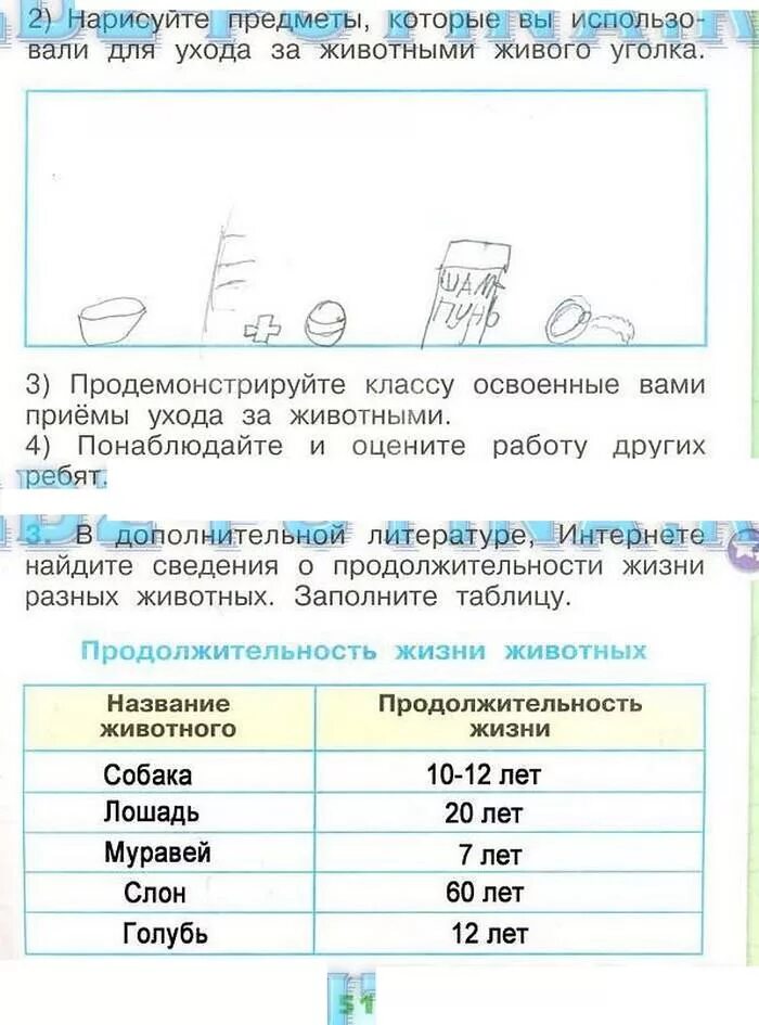 Окружающий мир 1 класс стр 49 ответы. Окружающий мир 1 класс рабочая тетрадь 1 часть стр 50-51. Окружающий мир 1 класс рабочая тетрадь 1 часть стр 50-51 ответы. Окружающий мир 1 класс рабочая тетрадь Плешаков стр 51. Окружающий мир 1 класс рабочая тетрадь 1 часть Плешаков ответы стр 50-51.