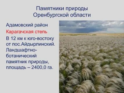 Оренбургская область сообщение