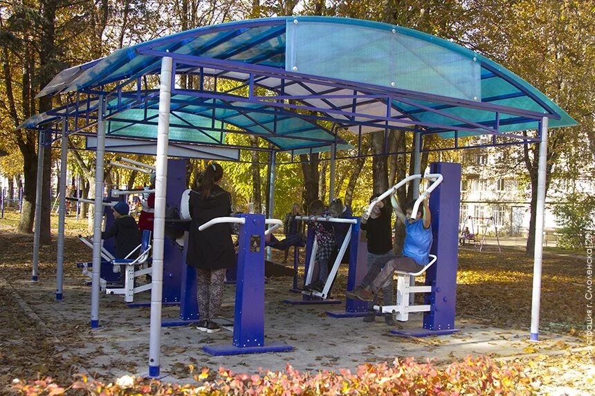 2. тренажерный комплекс крытый тр140. уличные спортивные тренажеры. доля рынка авито. известные интернет площадки для продаж.