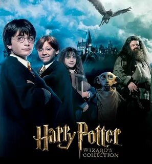 Harry potter hero