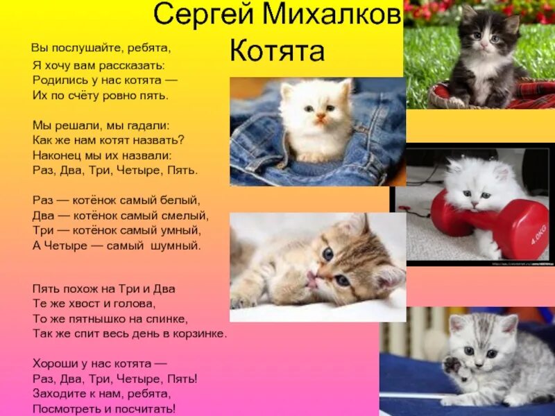 Можно про котят. Родились у нас котята стихотворение. 5 Котят стихотворение.