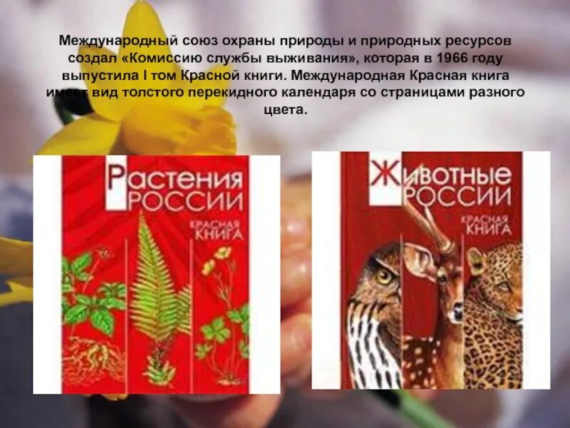 Когда был создан союз охраны природы. Международный союз охраны природы и природных ресурсов. международный союз охраны природы и природных ресурсов (мсоп). красная книга международного союза охраны природы. международный союз охраны животных.