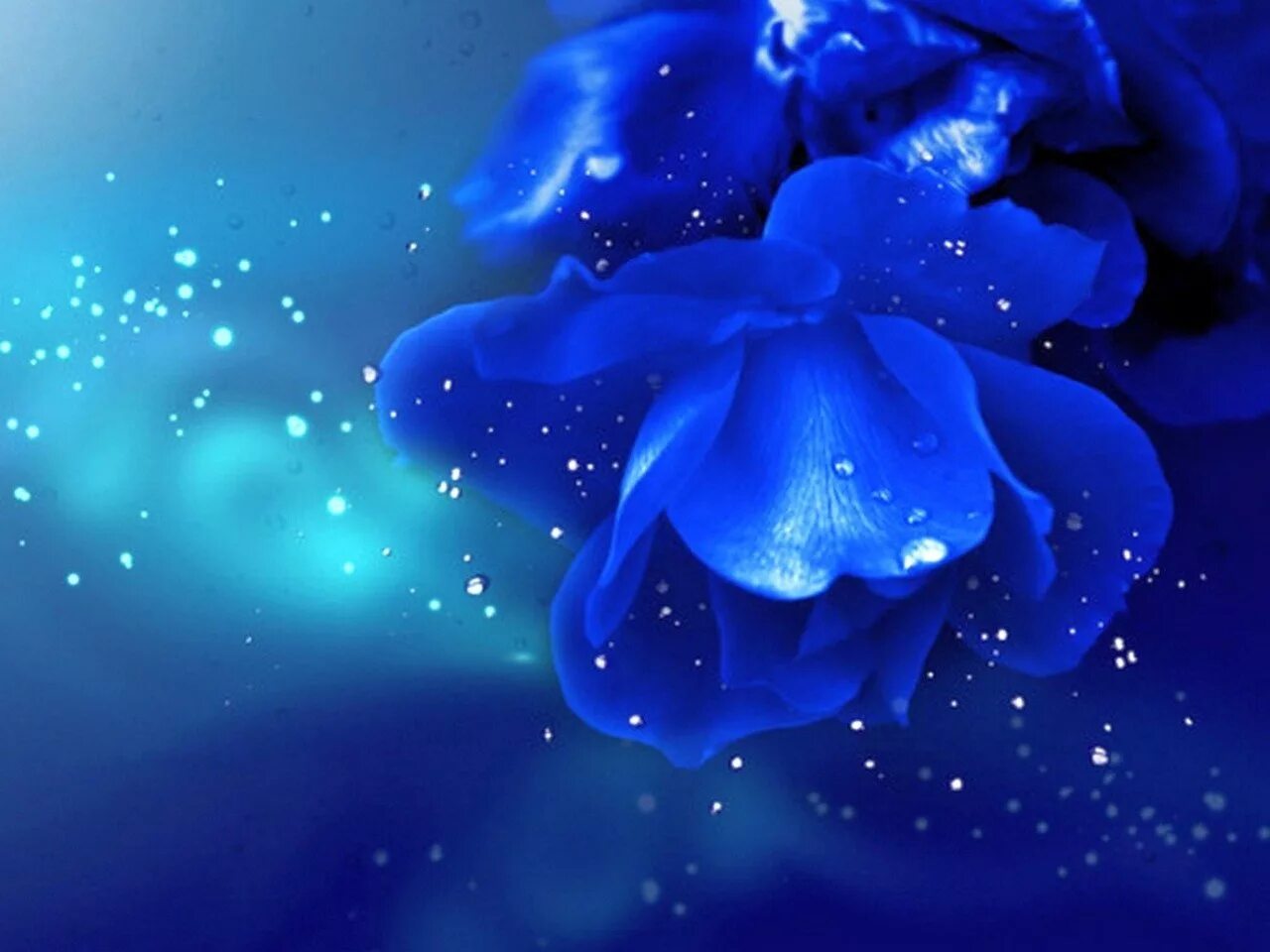 Синее синее сильнее. Синие цветы. Темно синие цветы. Красивый синий цвет. Красивые цветы на синем фоне.