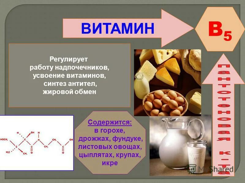 веществ и усвоение витаминов. веществ и усвоение витаминов. источники минеральных веществ в продуктах. проблемы современного питания. водорастворимый витамин – антиоксидант.