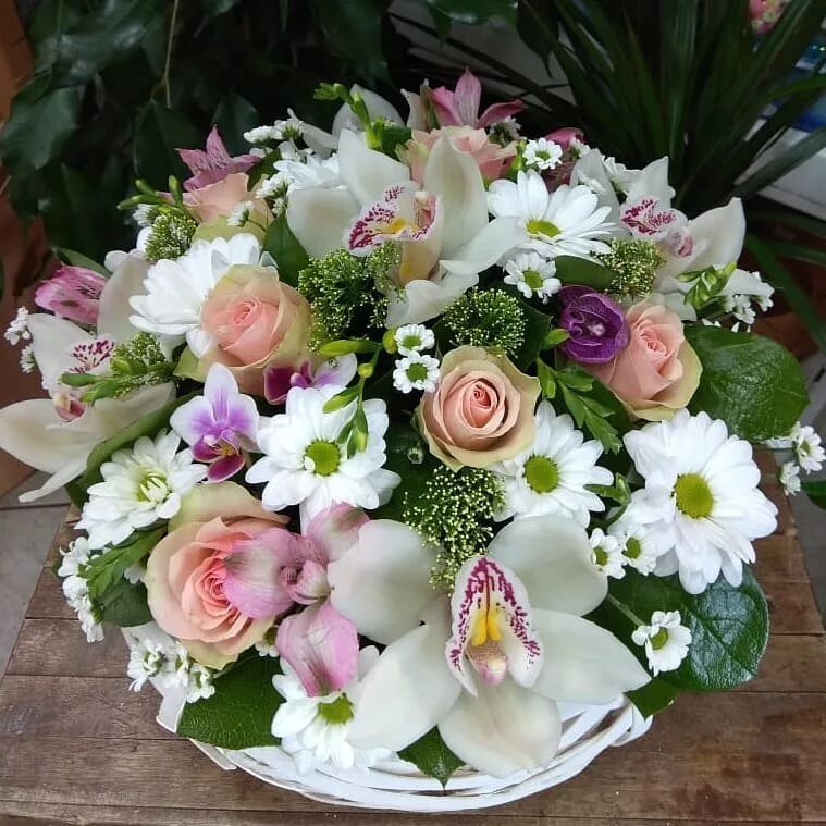 магазин цветов лесная. магазин цветов лесная. магазин цветов лесная. цветочный рай. лесная д5 пушкино.