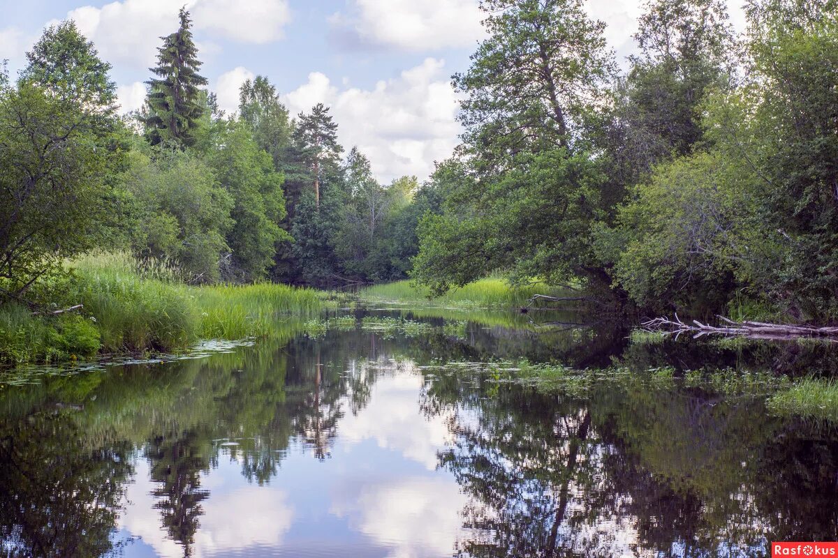 Новгородская область сообщества