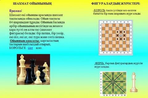 Қырылған әдемі қынаптар