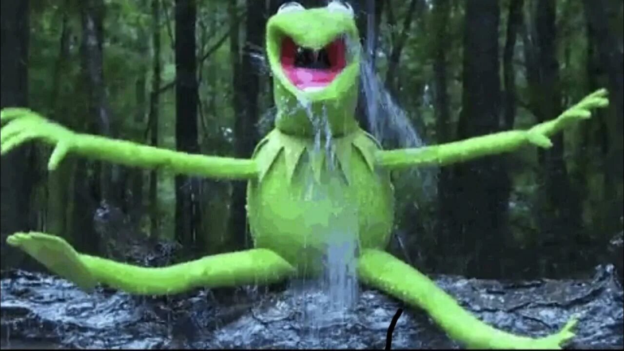 Me the frog. Обои с лягушками. Маппет шоу лягушонок кермит. Кермит мем рисунок. Me the frog.