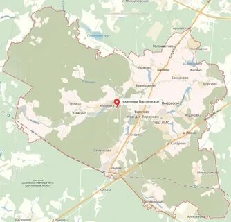Погода вороново лмс москва