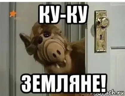 Смс на телефон ку ку