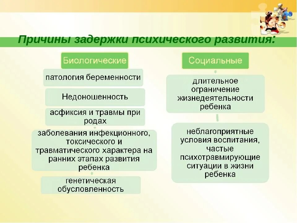 Категории задержки психического развития. Задержка психического развития причины. Причины ЗПР. Причины ЗПР У детей. Причины возникновения задержки психического развития.