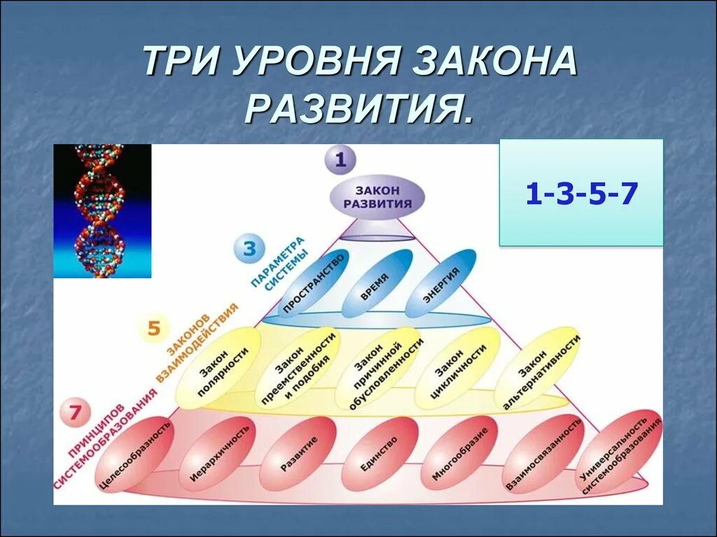 Законы эволюции жизни. Закон развития. 3 Закона развития. Три основных закона развития. Закон своего развития.