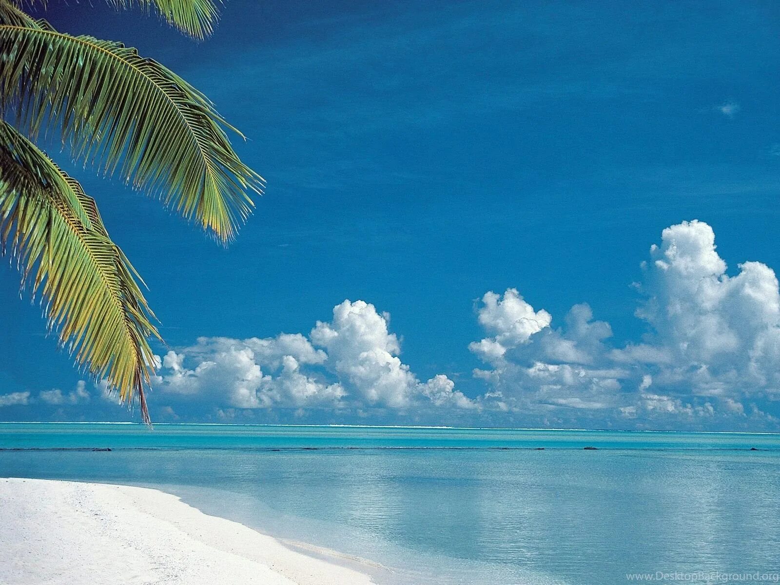 Остров Саона голубая Лагуна. Лагуна Аитутаки острова Кука. Голубая Лагуна Саона Доминикана. Море пляж.