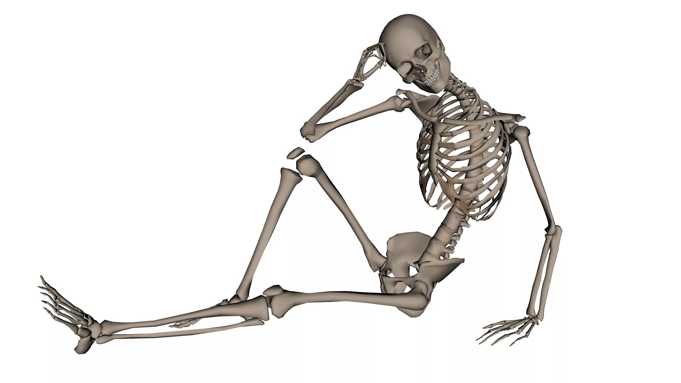 Скелет. Скелет сидит. Скелет в сидячем положении. Скелет лежит.