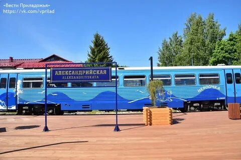 Нерпочка сортавала