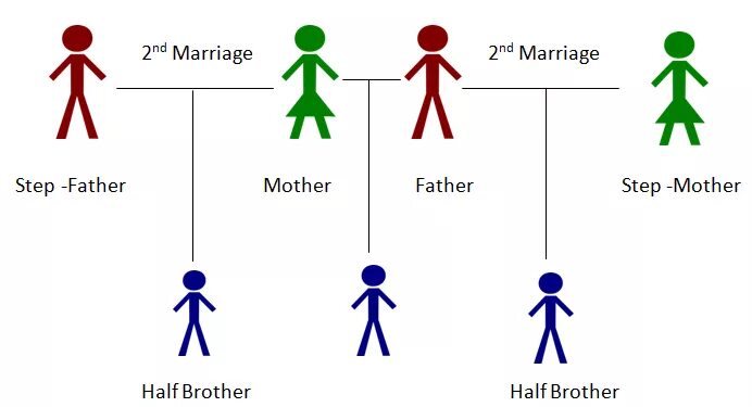 Half brother и Step brother разница. Step и half sister разница. Сводные братья это. Stepbrother and half brother difference. Half brother