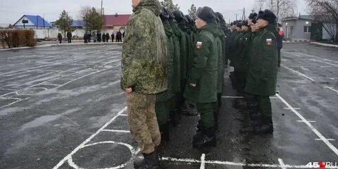 Призывники ярославль