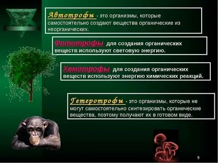 В осуществлении превращения неорганических веществ в органические