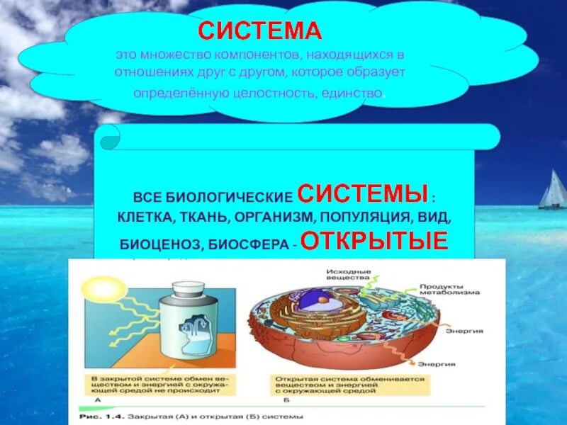 Перечислить биологические системы. Открытые и закрытые системы биология. Закрытые системы биология. Закрытая система в биологии. Примеры закрытых систем в биологии.