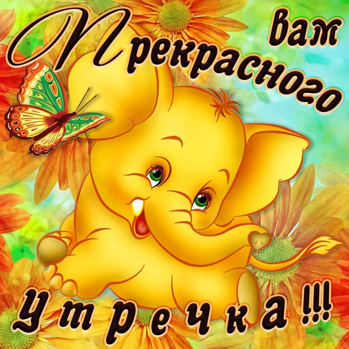 Смешные пожелания доброго утра и хорошего дня
