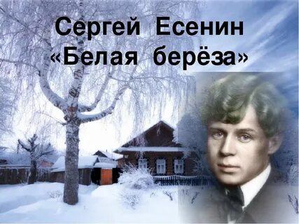 Есенин белая береза