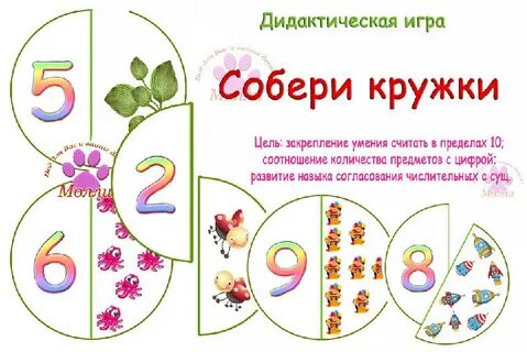6 лет презентация